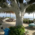 Relax 3*